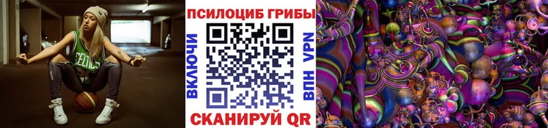 МЕГА как зайти  Вихоревка  Галлюциногенные грибы Cubensis  купить  